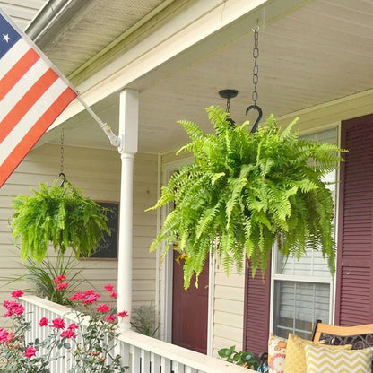 🌲Large UV Resistant Artificial Ferns for Outdoors--No Watering, No Fading-edition