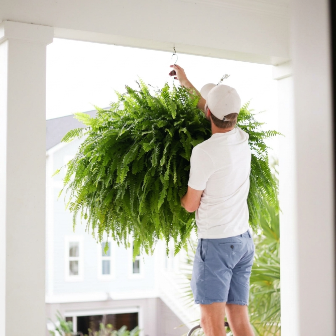 🌲Large UV Resistant Artificial Ferns for Outdoors--No Watering, No Fading-edition