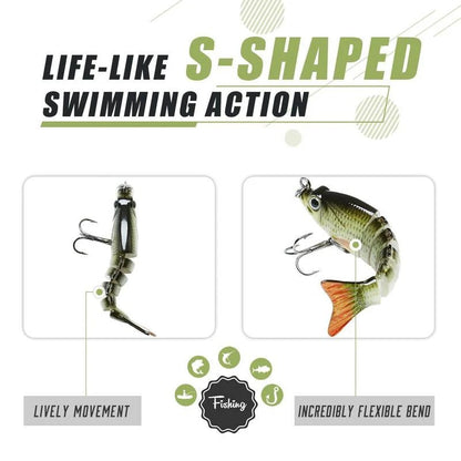 ✨💡Lifelike Fishing Lures forFreshwater and Saltwate-Curated